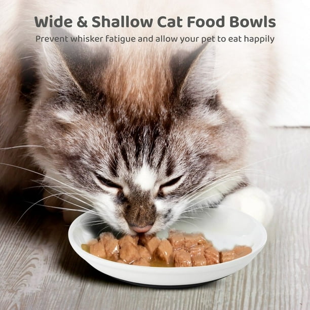 Shallow cat food bowls sale