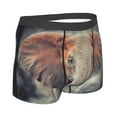 thumbnail image 3 of Balery Men'S Design Name Ultra Soft Performance Boxer Briefs-Size Name, 3 of 9