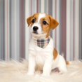 thumbnail image 4 of Set de collar y correa para perros EXPAWLORER Classic Plaid para mascotas, 4 of 5