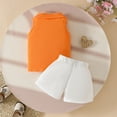 thumbnail image 4 of Summer Toddler Girls Sleeveless Ribbed Vest T Shirt Tops Floral Shorts Outfits Classic Dailywear 18-24 Months, 4 of 4