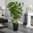 thumbnail image 3 of Nearly Natural 5'H Bamboo Artificial Tree in Black Planter (Real Touch) UV Resistant (Indoor/Outdoor), 3 of 5