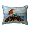 16 x 20 in. Mermaids Handbook Indoor & Outdoor Pillow - Large