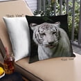 thumbnail image 1 of Ahgly Company Animals Tiger Outdoor Throw Pillow, 18 inch by 18 inch, 1 of 1