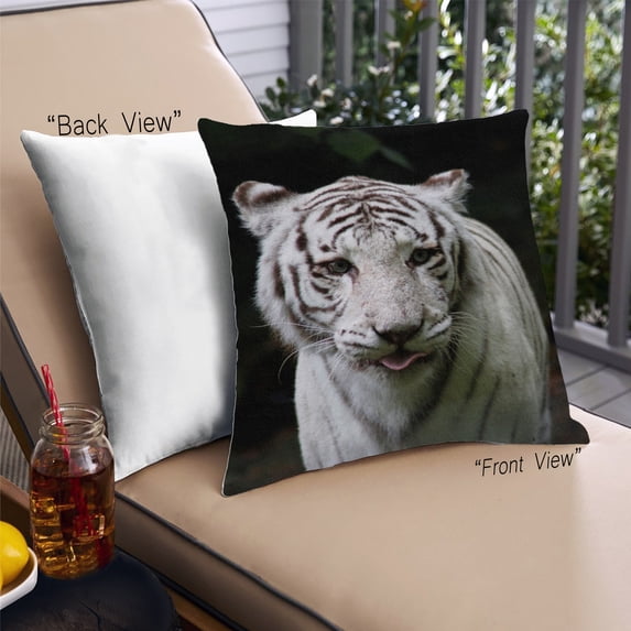 Ahgly Company Animals Tiger Outdoor Throw Pillow, 18 inch by 18 inch