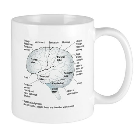 

CafePress - Functional Areas Of The Brain Artwork 11 Oz Ceram - Ceramic Coffee Tea Novelty Mug Cup 11 oz