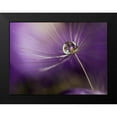 thumbnail image 2 of Westum, Heidi 18x14 Black Modern Framed Museum Art Print Titled - In shades of purple, 2 of 5