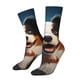 thumbnail image 1 of Balery Playful Smile Cute Dog Calcetas Largas con Estampado para Hombre y Mujer – Suaves y Transpirables, Talla Única (US 5-11), 1 of 6