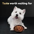 thumbnail image 5 of Cesar Filet Mignon and Spring Vegetables Dry Dog Food, 5 lb Bag, 5 of 11