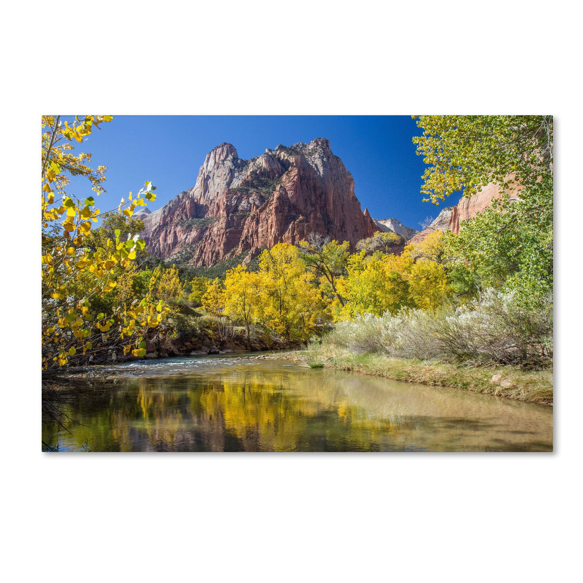 Trademark Fine Art "Zion Autumn" Canvas Art by Pierre Leclerc