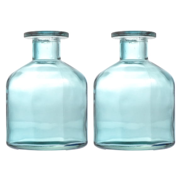 2Pcs Creative Glass Vases for Home Use Flower Arrangement Containers