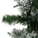 Northlight Couronne de Noël Artificielle de Sapin Floqué - 36 Pouces, Non Éclairée – image 2 sur 3