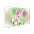 thumbnail image 2 of Trademark Fine Art "Three Pink Tulips" Canvas Art by Lois Bryan, 2 of 3
