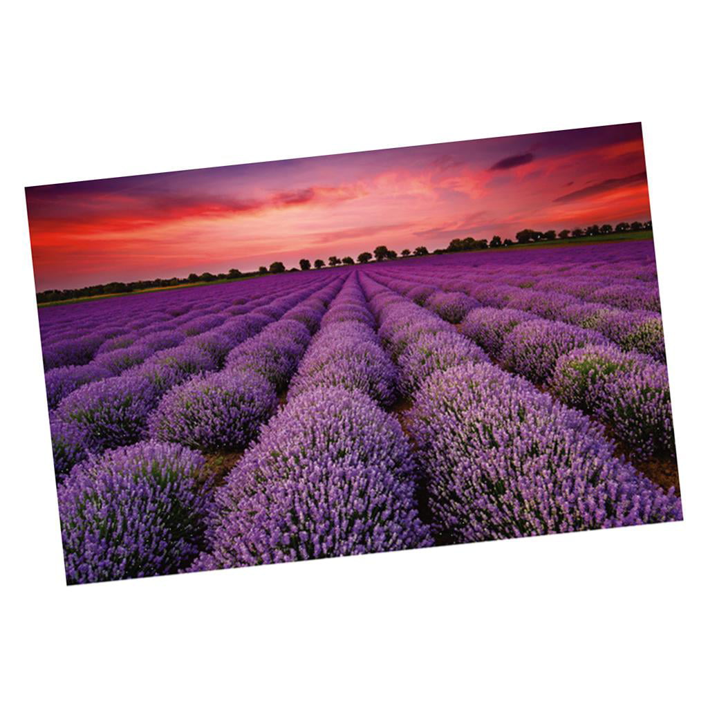 1000 piece  Romantic Lavender Scenery Paper Jigsaw Puzzle Intelligence Toys 