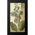 thumbnail image 2 of Green-Aldridge, W. 9x14 Black Modern Framed Museum Art Print Titled - French Blue II, 2 of 5