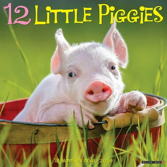 12 Little Piggies 2026 Wall Calendar, (Paperback)