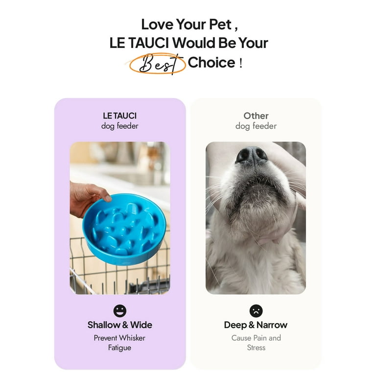 Great choice dog bowl top