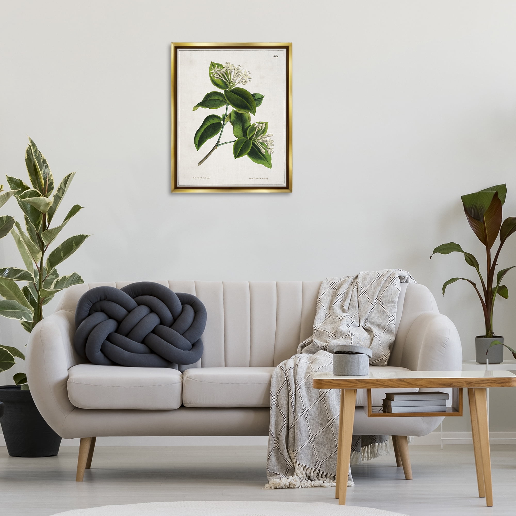 Stupell Industries Blooming Vintage Study Plants & Flowers Painting Gold Floater Framed Canvas Art Print Wall Art, 25 x 31