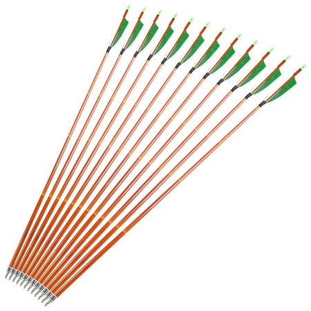 AMEYXGS New Carbon Archery Arrows 12 Pieces