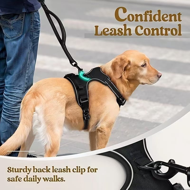 No-pull shockproof dog vest with reflective strip, made of comfortable nylon material, suitable for agility training and nighttime walks. Comes with harness and leash set