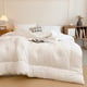 thumbnail image 4 of Ireezec Soft Washed Microfiber Duvet Inrt All asons Comforter Lightweight Bedding Queen Size Breathable Quilt for Adults Hotel Home Bedroom Enhanced Warmth Cooling Summer Spring Fall, 4 of 6