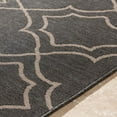 thumbnail image 4 of Mark&Day Outdoor Rugs, 2x4 Liam Cottage Indoor/Outdoor Black Area Rug, Non Shedding Black Beige Carpet for Patio, Porch, Deck, Bedroom, Living Room or Kitchen (2'5" x 4'5"), 4 of 6