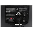 thumbnail image 6 of Peavey DM 112 12" 1000 Watt Active Powered PA Speaker+Digital DSP+Wash Light, 6 of 11