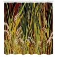 thumbnail image 3 of Ambesonne Nature Shower Curtain, Plant Forest Farm Leaves, 69"Wx84"L, Multicolor, 3 of 3