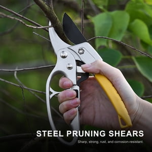 Élagage Secateurs Lame d'acier Élagages avec poignées ergonomiques Jardinage Élagement Ciseaux Bonsai Cutters Outil de jardinage Kit pour plantes Fleurs roses Arbres fruitiers