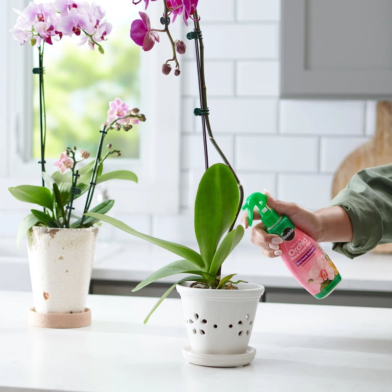 Miracle-Gro Orchid Care Bundle, includes Potting Mix + Plant Food