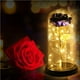 thumbnail image 5 of Yuarrent Rosa eterna LED con cúpula de cristal Flor de lámina de oro de 24 quilates y una de cuento de hadas Regalo de San Valentín Almacenamiento y organización del hogar Yuarrent HA023427-00, 5 of 6