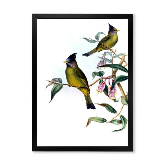 Designart 'Vintage Countryside Birds On Branch II' Farmhouse Framed Art Print