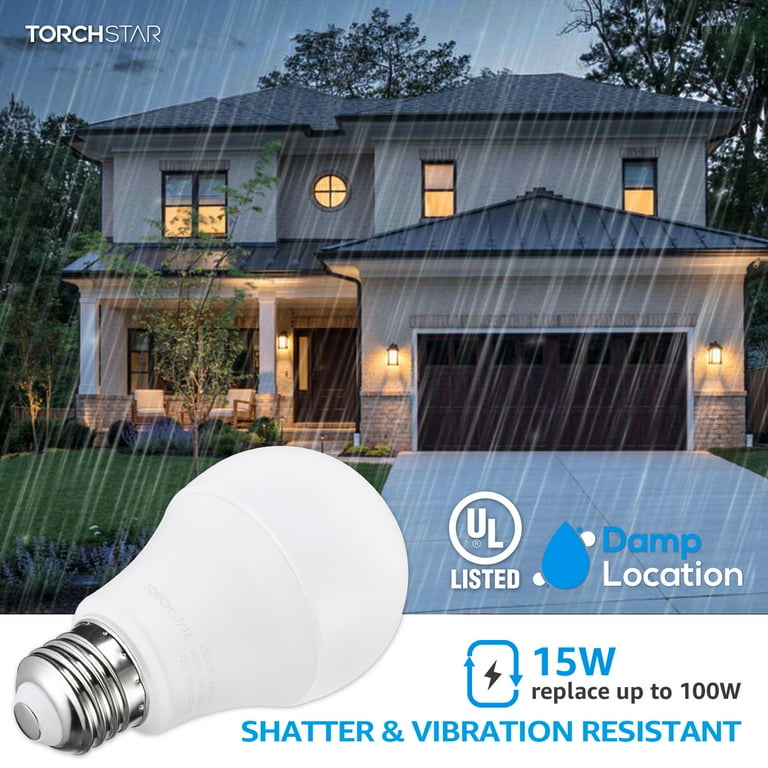 100 watt led garage door opener bulb online