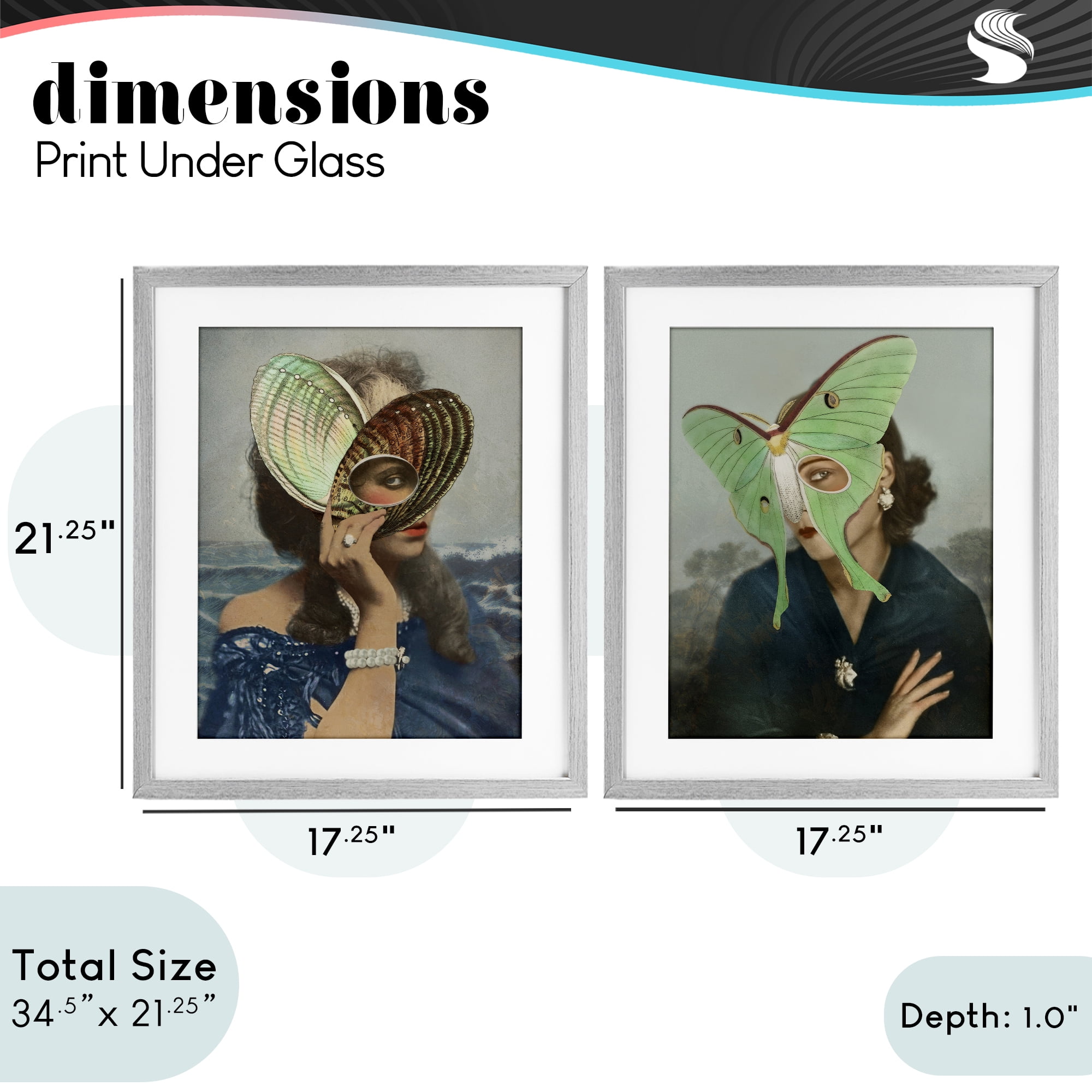 Stupell Industries Naturalist Women Portraits 2 Piece Gray Framed Print Under Glass Set, design by Victoria Barnes
