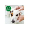 thumbnail image 4 of Vet's Best Medicated Oatmeal Shampoo for Dogs - 16 Ounces, 4 of 6