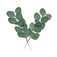 thumbnail image 4 of Wosthever 20 hojas de eucalipto artificiales de tallo largo, ramas de hojas falsas, accesorio de simulación de autoensamblaje, planta verde, Decoración hoja larga con fruto, 4 of 6