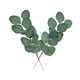 thumbnail image 4 of Hojas de eucalipto artificiales Cateissary 20 piezas para decoración hogar, 4 of 6