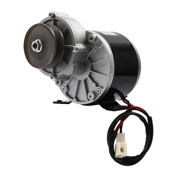 DENEST Gear Reduction Electric Motor with Belt Pulley 12V 250W Brushed DC Motor For Scooter E-bike Electric Tricycle