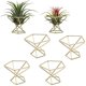thumbnail image 1 of 6 soportes geométricos para plantas de aire, de metal, para decoración Himmeli, para tillandsia, 1 of 4