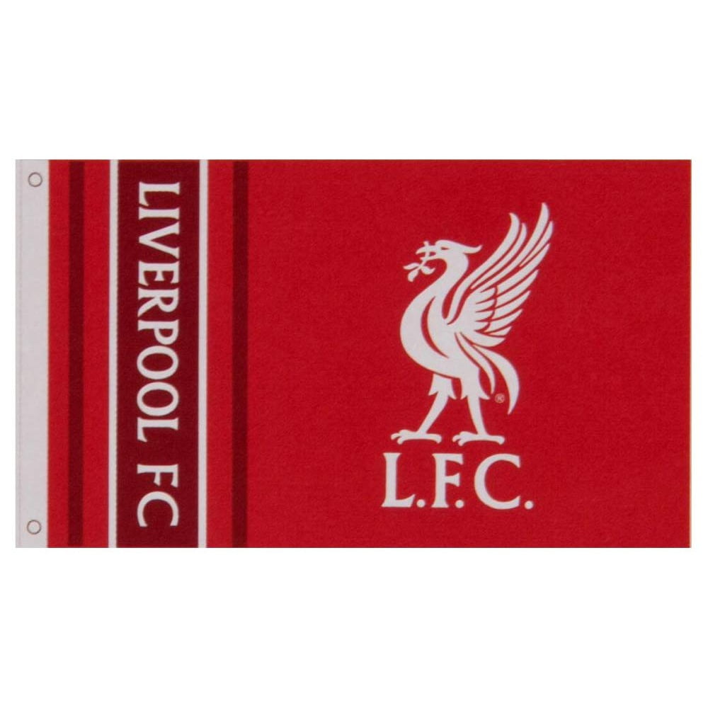 One Size Liverpool FC Champions Of Europe 2019 Metal Sign Red 