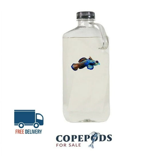 Copepods 4 Species (32-ounce bottle)