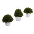 thumbnail image 1 of Nearly Natural 4977-S3 Mixed Cedar Topiary Collection, Green, Set of 3, 1 of 2