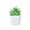 F, variant on Sunxin Artificial Succulent Plant Small Potted Plant Aplants Artificial Potted Faux Plant in Square White Pots for Home Bathroom Desk Shelf Decor