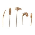 thumbnail image 2 of 5 Pieces Garden Stakes Metal Flowers Rustic Weather Resistant Design for Lawn Garden Walkway, 2 of 7