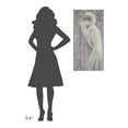thumbnail image 4 of Global Gallery Albena Hristova 'Coastal Egret II Legs' Canvas Wall Art, 4 of 4
