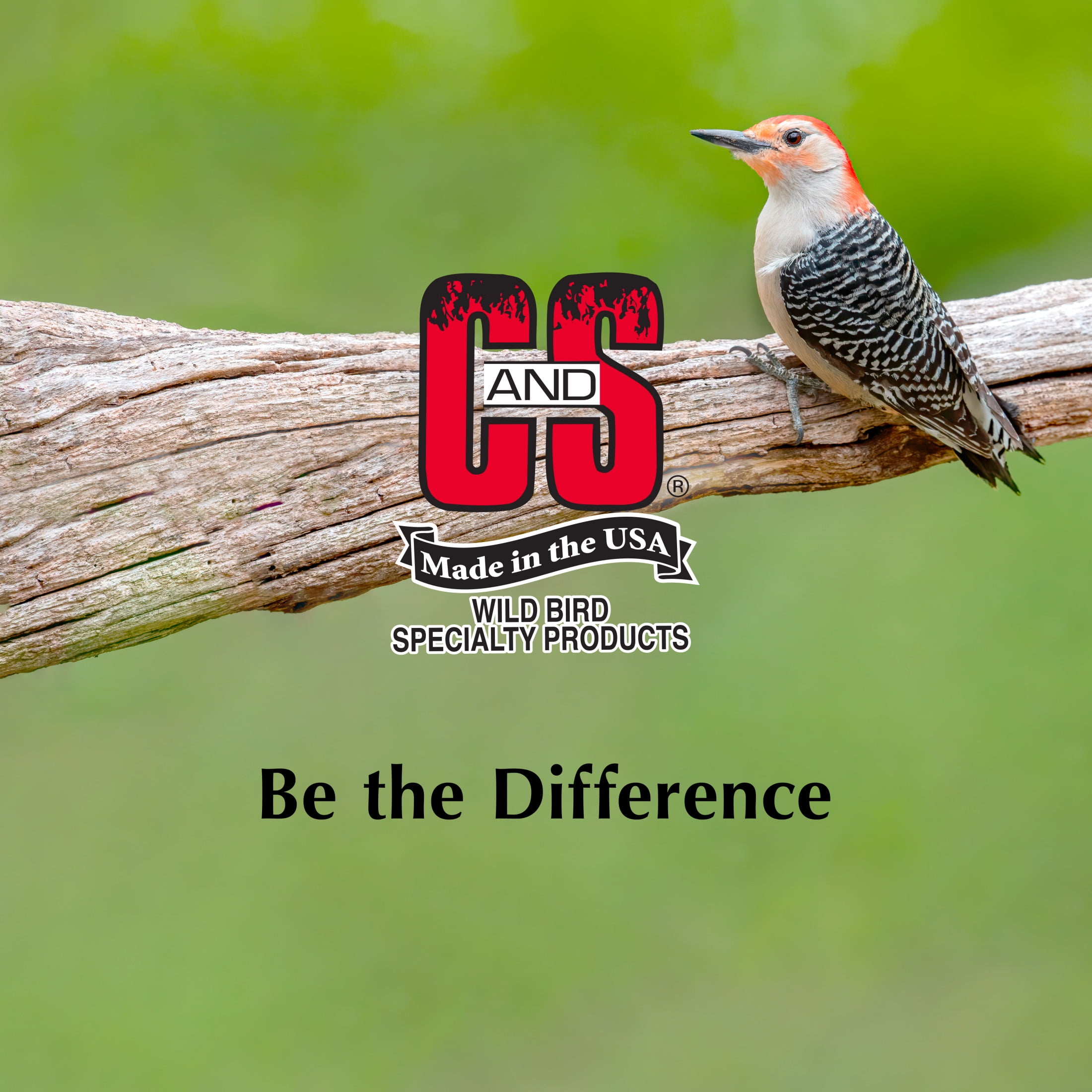 C&S Woodpecker & Songbird No Melt Suet Dough, for Wild Birds