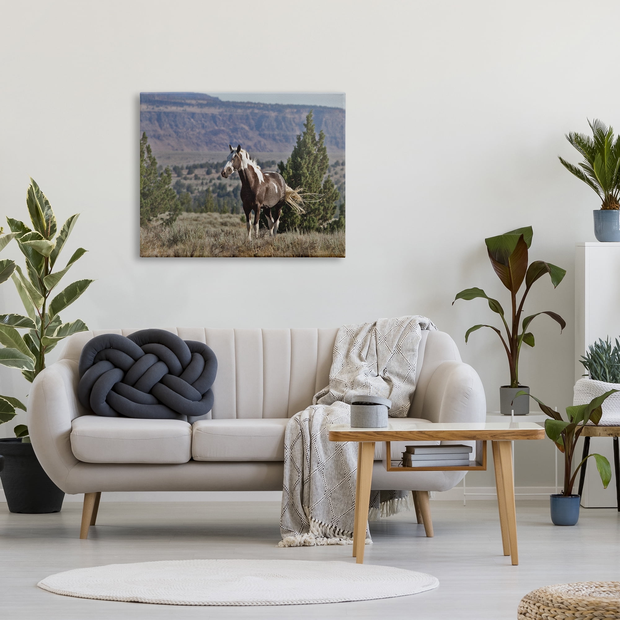 Stupell Industries Wild Horse Southwestern Landscape Canyon Cliffs, 30 x 40, Designed by Larry McFerrin