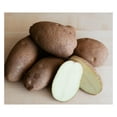 Russet Seed Potatoes USDA Certified for Growers Size B Non GMO Brown