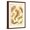 Brown Frame, variant on Art.com Nudibranch Gastropod Mollusks Art Print by Ernst Haeckel, 12" x 18"