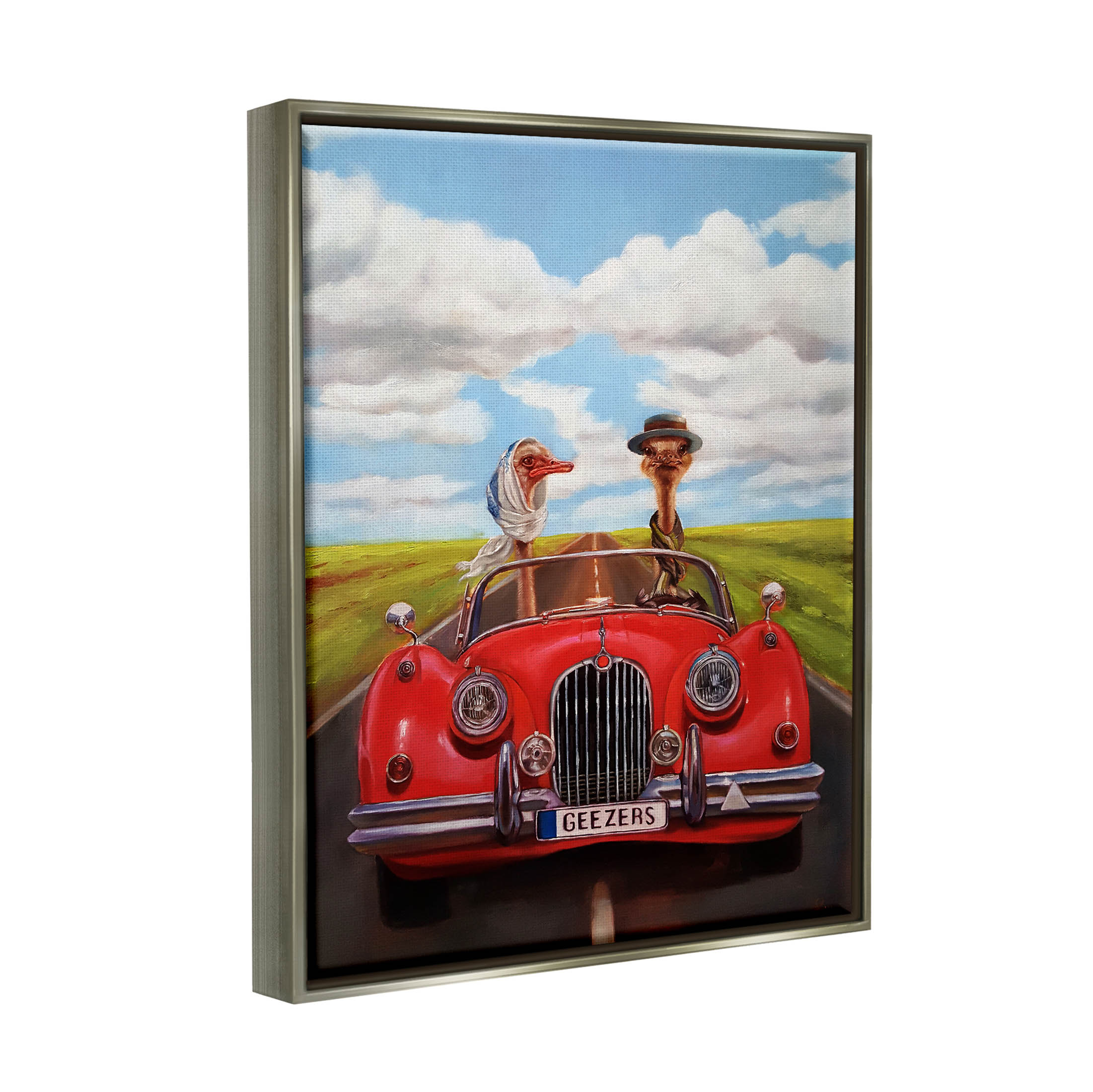 Stupell Industries Ostrich Couple Geezers Convertible Painting Luster Gray Floating Framed Canvas Print Wall Art, Design by Lucia Heffernan