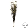 thumbnail image 5 of Vickerman 36-40" Long Stem Bell Grass with Basil Colored Seed Pods, 2 per pack, Preserved, 5 of 5